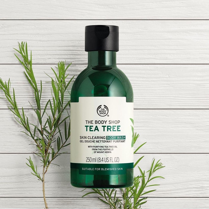 ژل شستشوی بدن تی تری بادی شاپ THE BODY SHOP Tea Tree Skin Clearing Body Wash 250ml